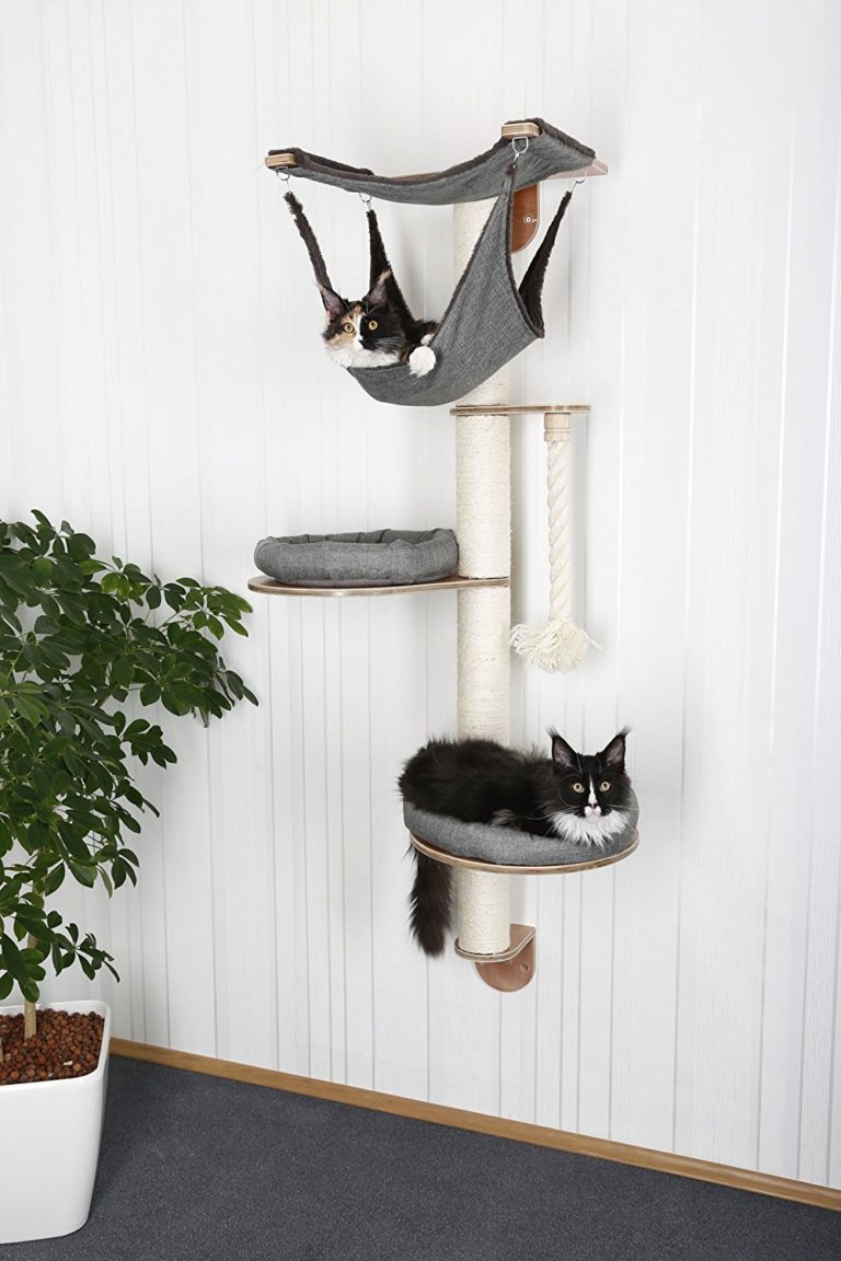 Wandkratzbaum für Katzen Stilvolle Kratzbäume für die Wand