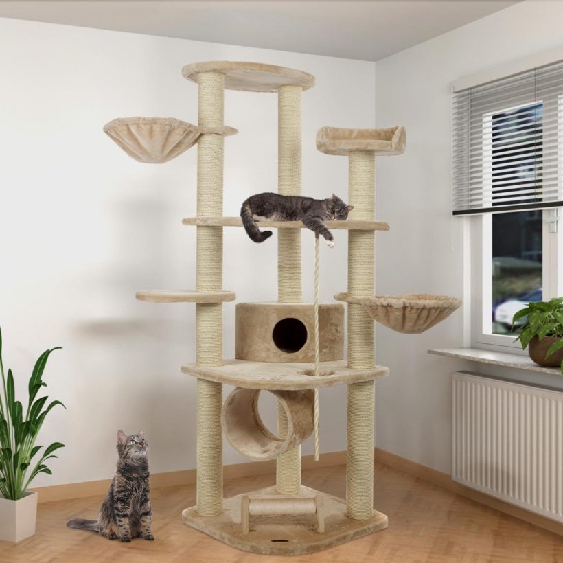 Happypet® Kratzbäume Alles für das Wohlbefinden der Katze